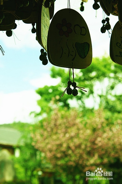 云彼天南,大研故事(一)