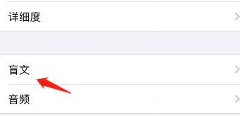 iPhone旁白怎么设置盲文