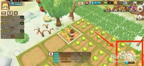 悠长假期如何收获土豆