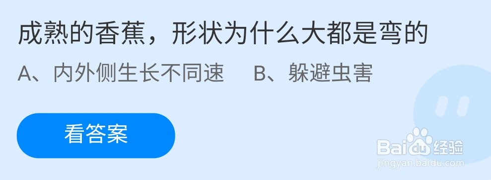 成熟的香蕉状为什么大都是弯的蚂蚁庄园9.20