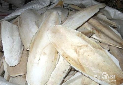 海螵蛸的作用以及食用禁忌