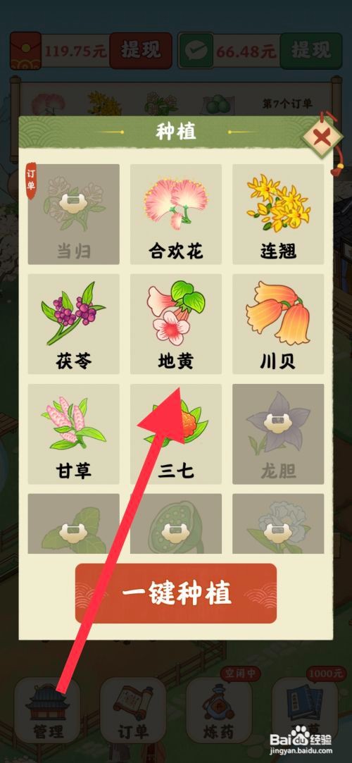 杏林世家怎么种植地黄