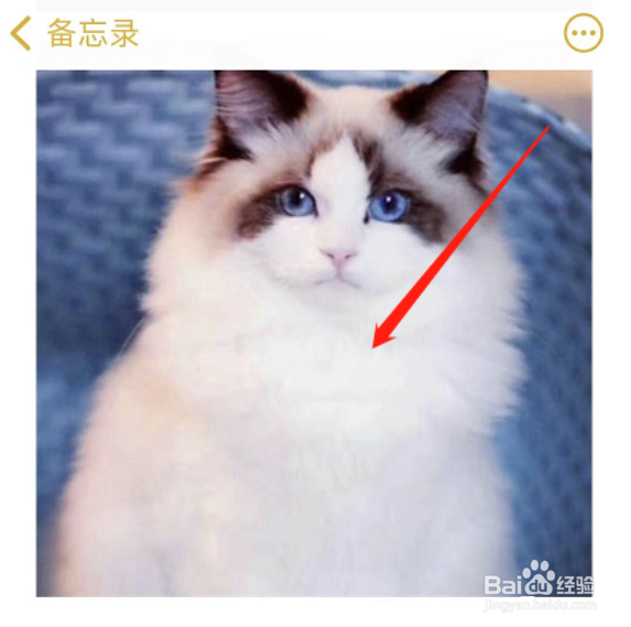 苹果备忘录如何合成照片