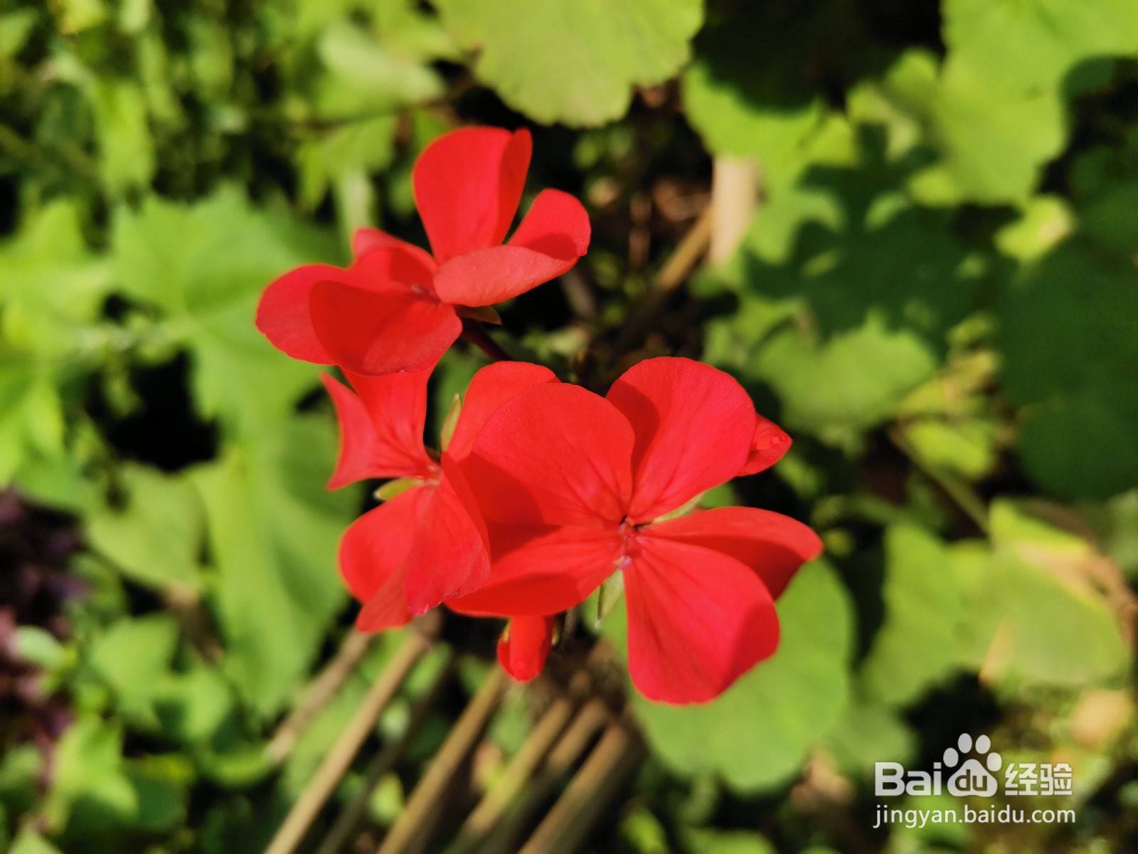 拍小视频如何盈利