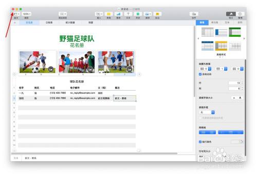 Numbers表格“球队组织”模板中如何插入批注