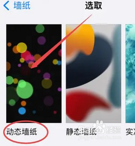 iPhone15ProMax在哪设置动态壁纸