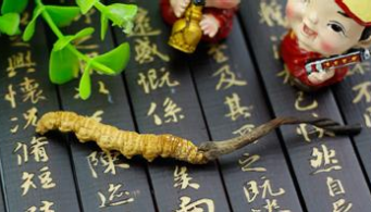 冬虫夏草的保存方法