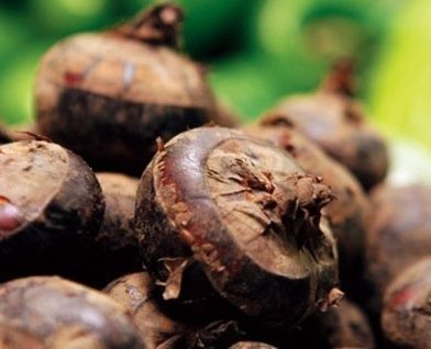 怎样避开日常果蔬连皮吃的误区