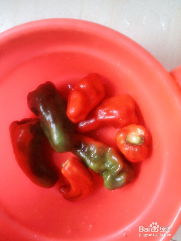 家常菜的做法之辣椒炒肉。