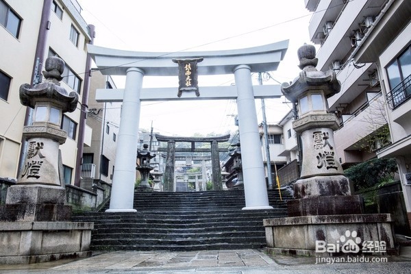 长崎最美神社,四月樱花落了