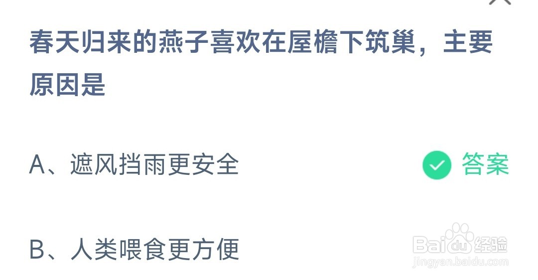 蚂蚁庄园春天归来的燕子喜欢在屋檐下筑巢主要原