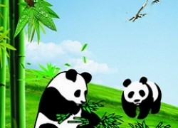 畅游七大熊猫基地