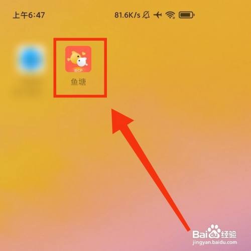 鱼塘APP在哪开启上线保密