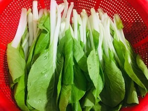 健康养生佳品鲜嫩小白菜