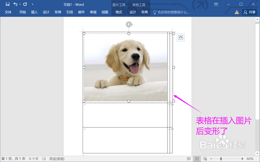 如何在Word文档表格中插入图片不变形