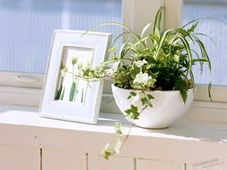 陈友珍——怎么有效缓解失眠多梦