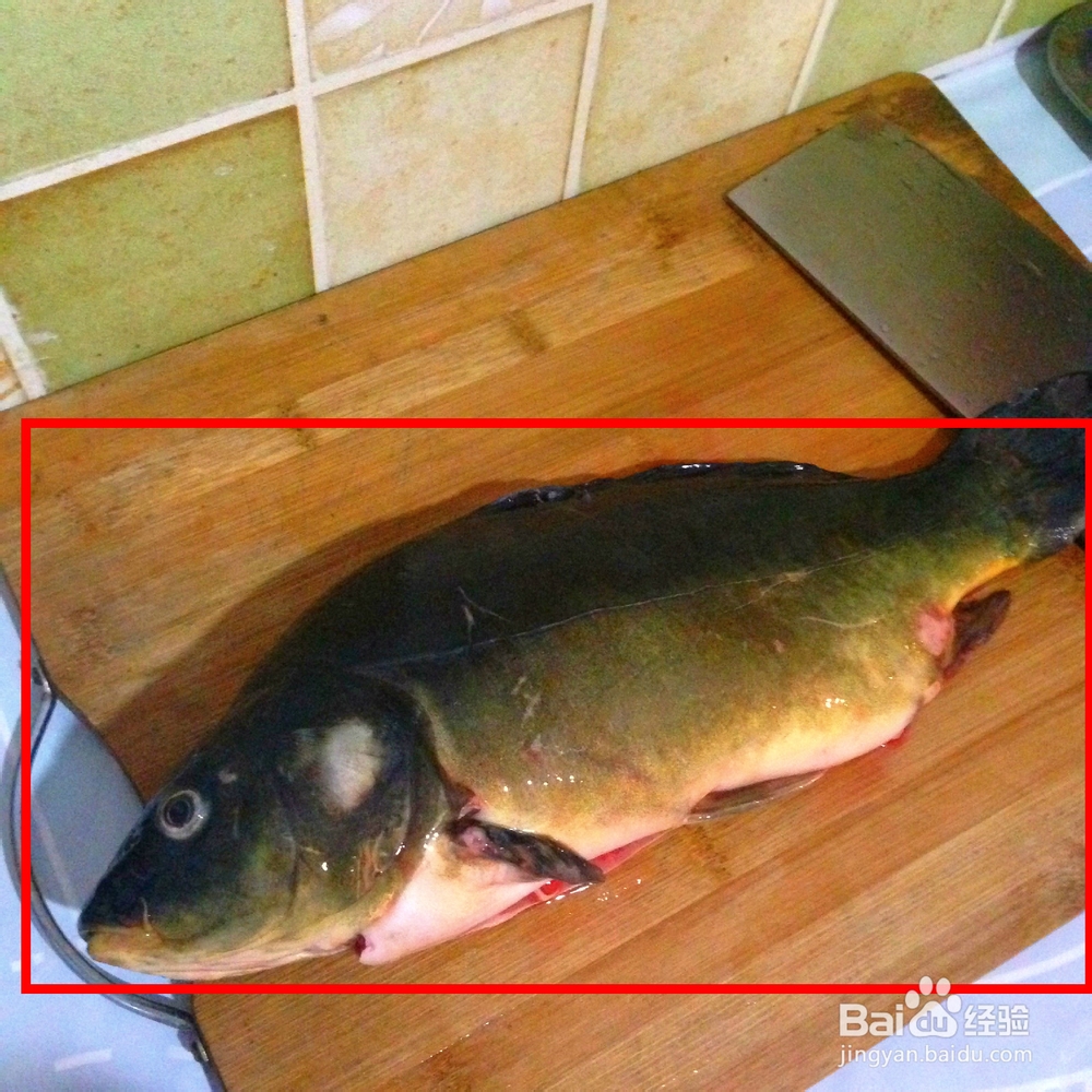 吃鲤鱼如何给鲤鱼抽筋?