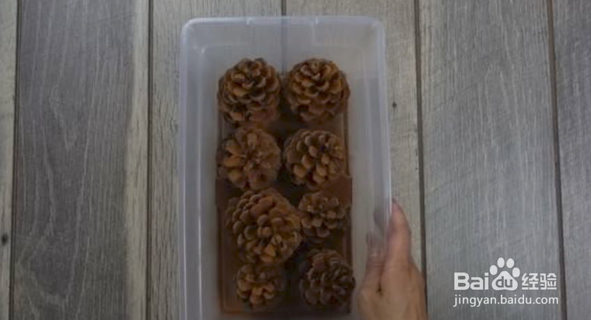 如何制作肉桂香味松果？