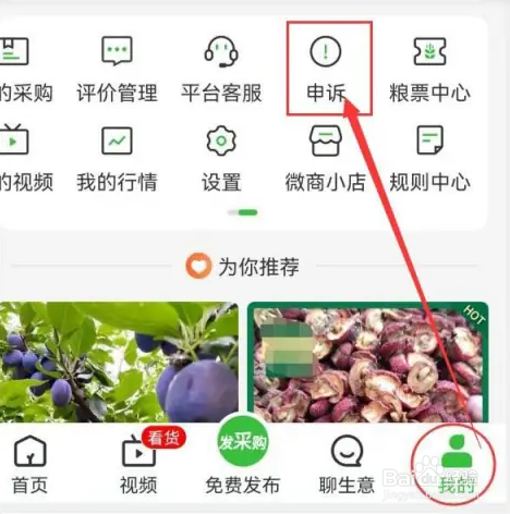 在惠农网中如何查询有关申诉的内容