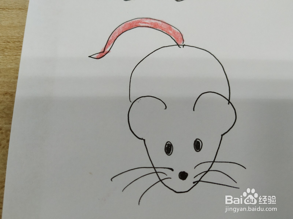 老鼠简笔画怎么画，怎么画可爱的老鼠呢