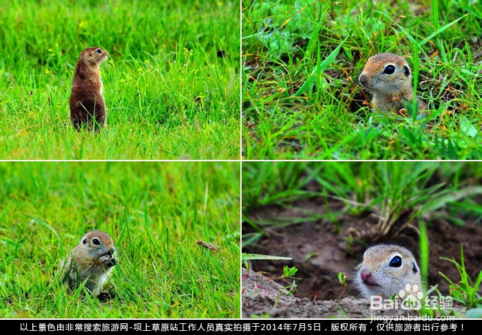 金秋坝上摄影旅行攻略