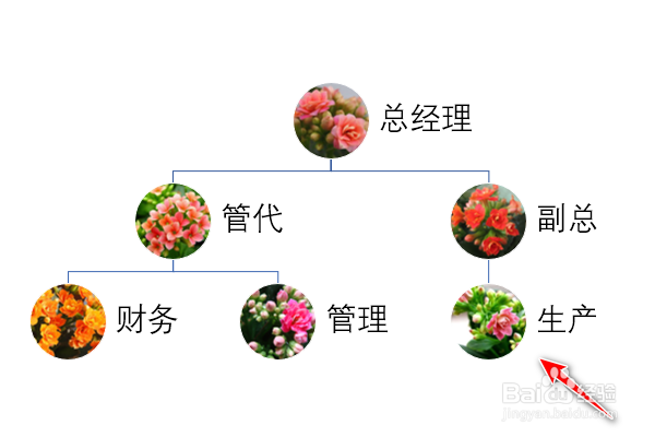 ppt怎么制作圆形图片层次结构图