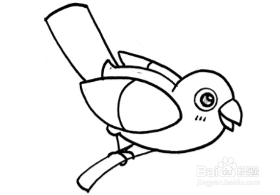 怎么画QQ红包鸟