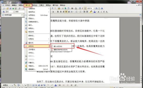wps文字软件如何给文档增加水印