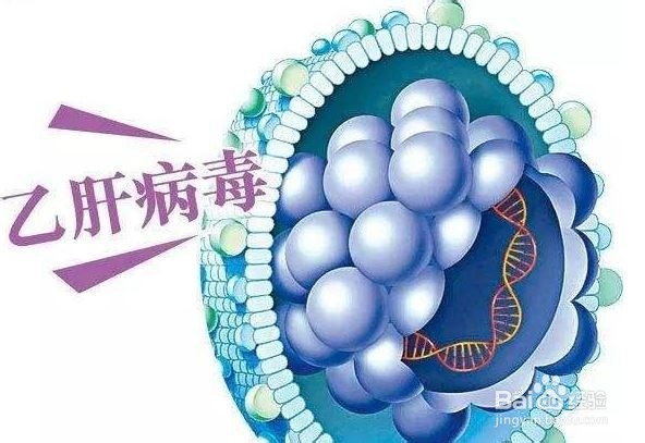 乙肝有哪些传播途径呢？