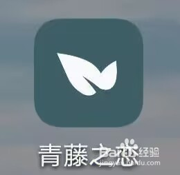 青藤之恋如何开启互动通知