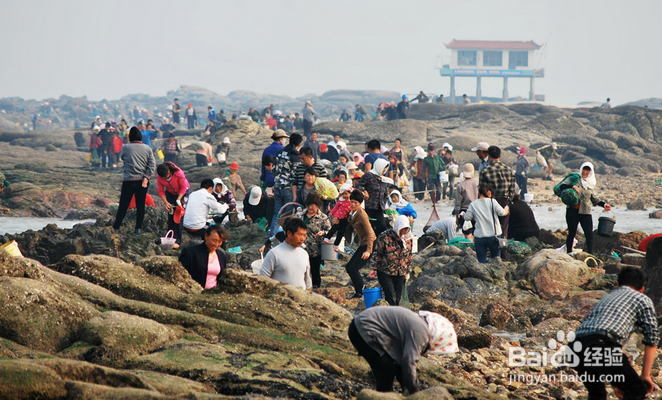 日照赶海好去处-日照旅游攻略