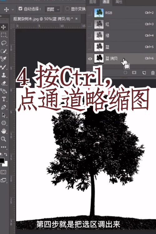 教你通道抠图
