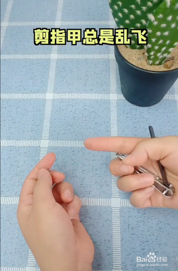 剪指甲的时候,我们的指甲屑总是乱飞怎么办呢