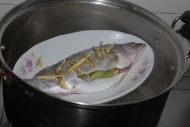 鲈鱼的做法(清蒸)