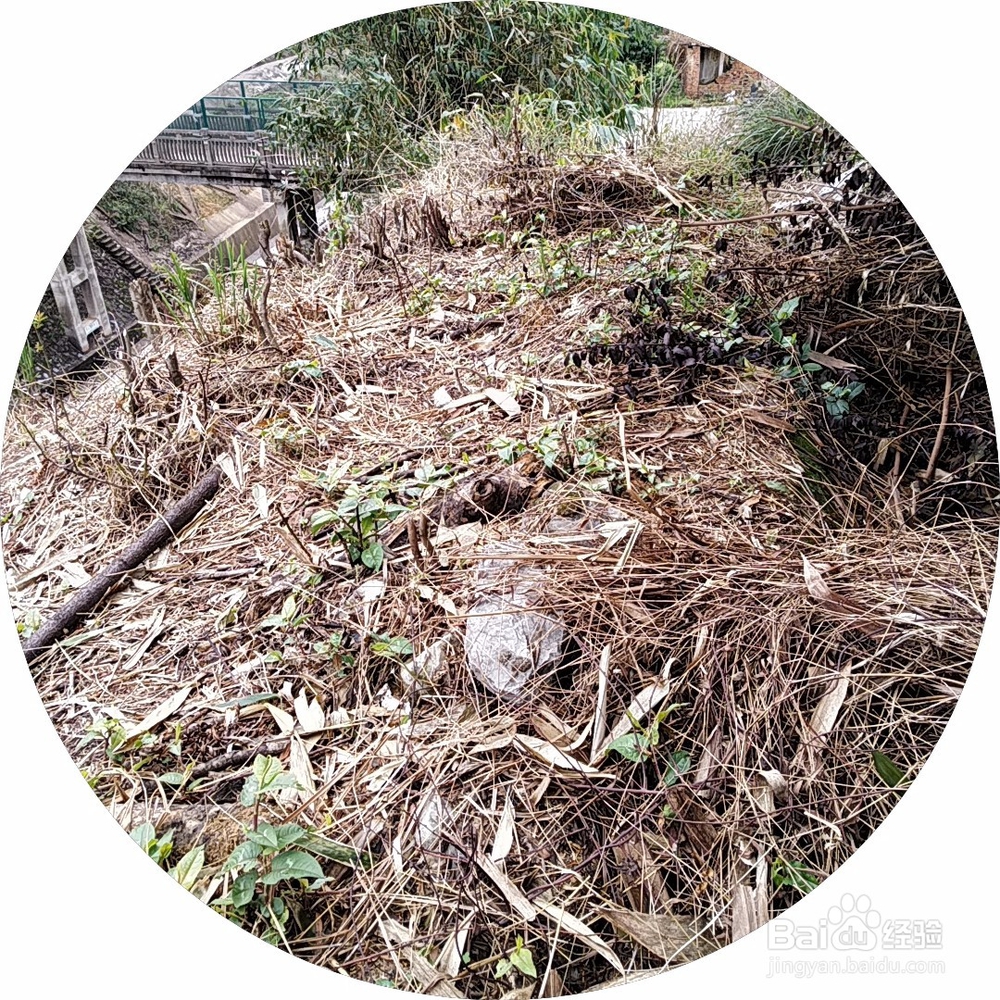 高边坡最上方的清理要点