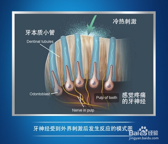 教你如何选购合适自己的牙膏?