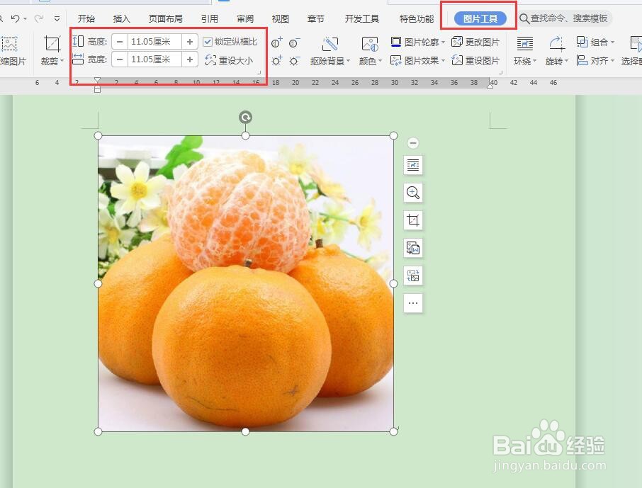 word中如何调整图片大小?