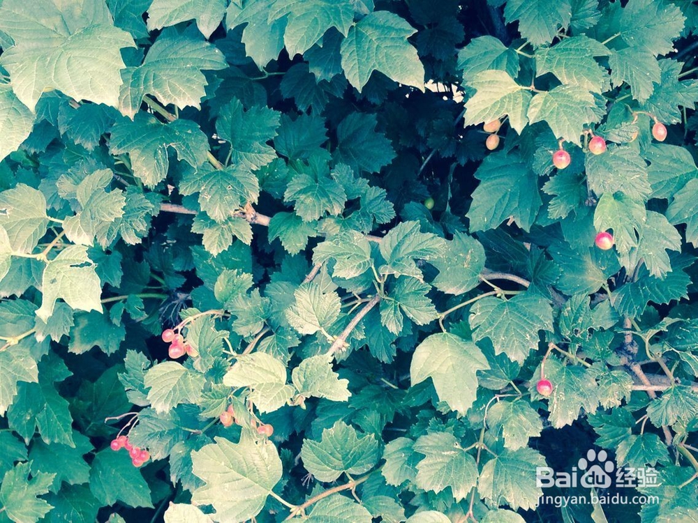 惹父母生气怎么办?