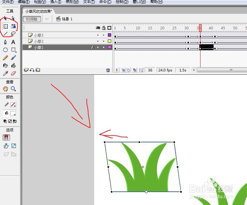 flash制作动态小草被风吹动的效果