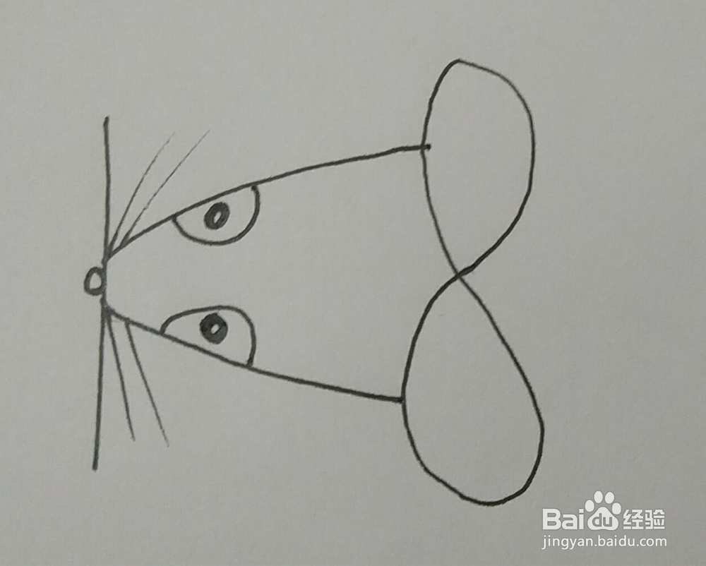怎样用数字18画老鼠创意简笔画 老鼠简笔画教程
