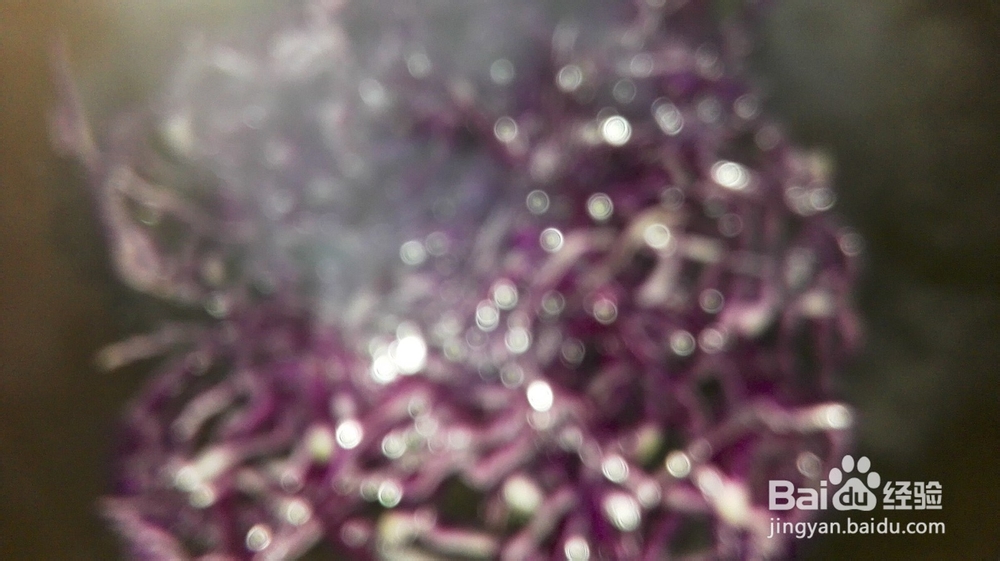 家常菜&粉丝包菜的做法