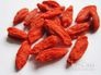 枸杞的功效与作用有哪些