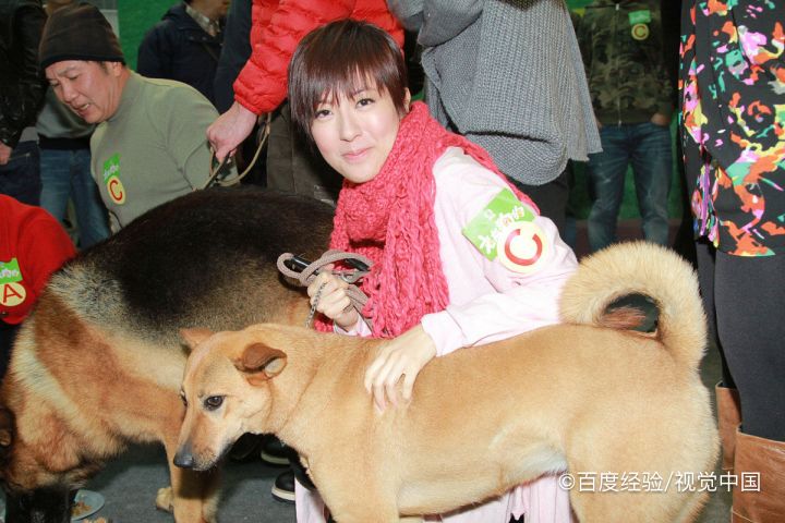 小狗乱拉屎尿怎么办