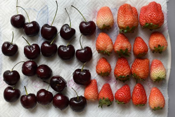 可可水果裸蛋糕