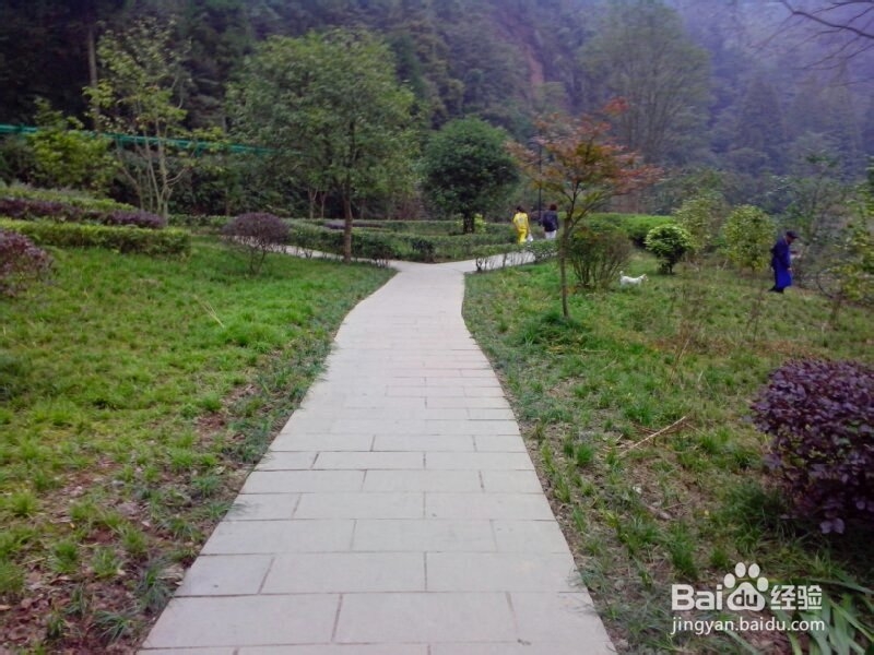青城后山游览