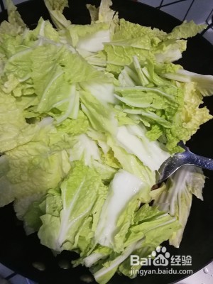 食补养生东北家常菜白菜炖豆腐