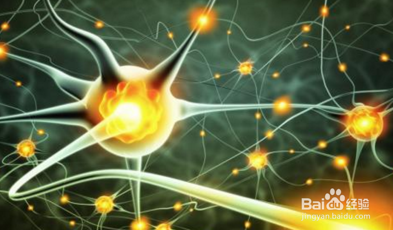 ​ 主治医师考试传染病学考试如何复习？