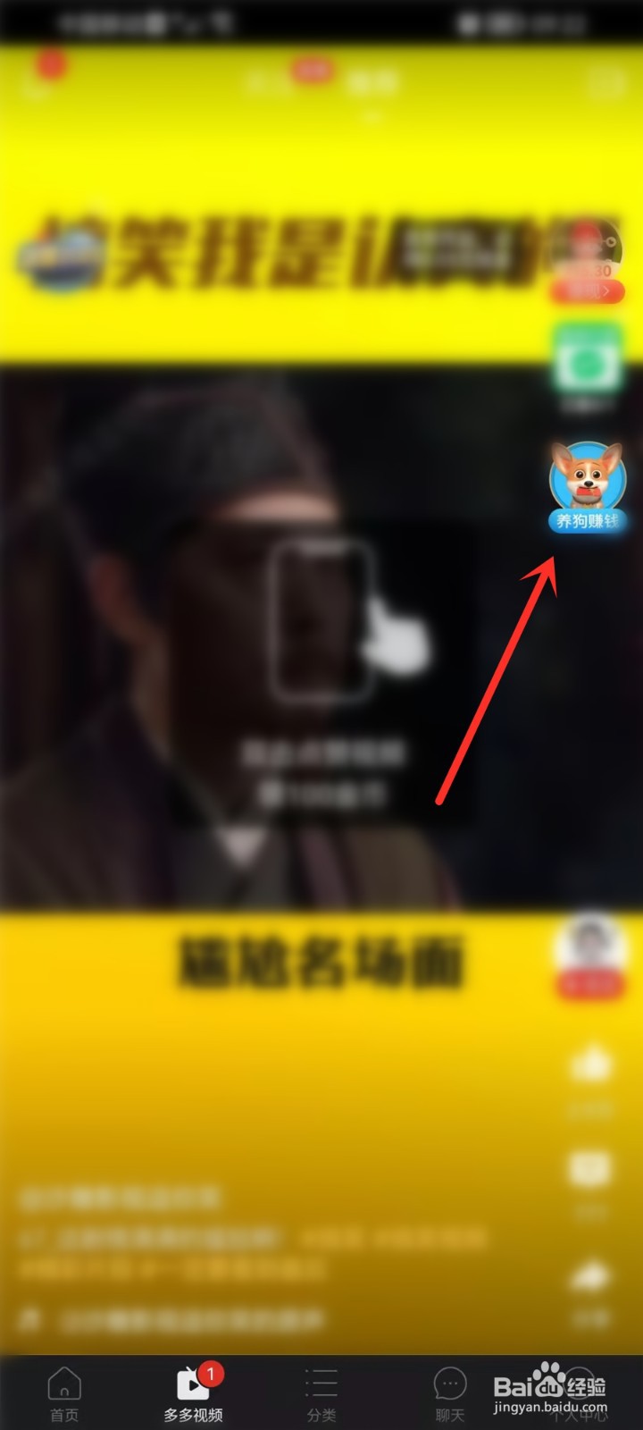 拼多多养狗赚钱活动怎么提现