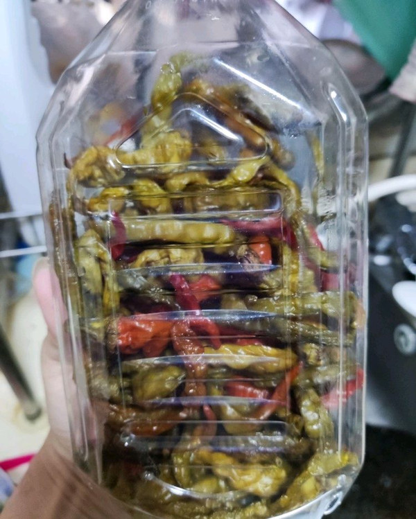 下饭家常菜：酸辣椒蒜苗炒田螺