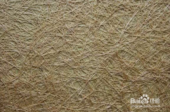 如何更好的选择壁纸